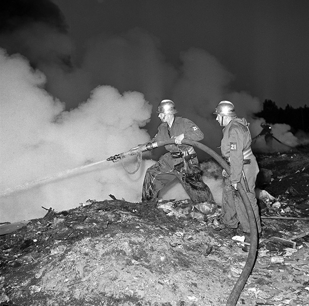 Eldsvåda på soptippen, 1955