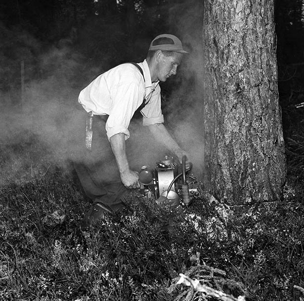 Sixten Jernberg jobbar i skogen, skidreportage, 2/10 1958