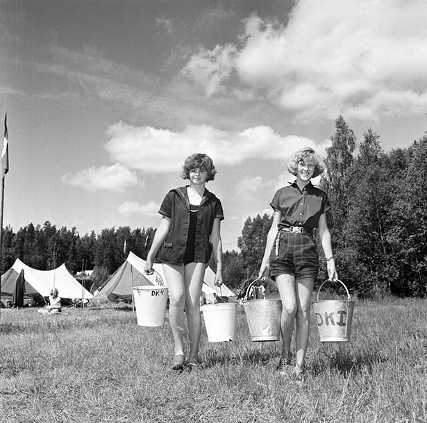 Scouter, Rogslägret 1955
